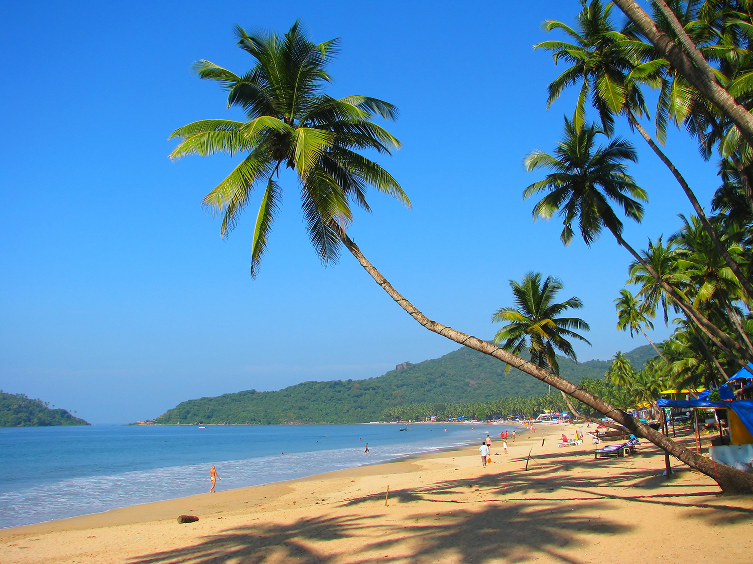 Sandy beach in Goa India Tours On The Go Tours 346991495533921