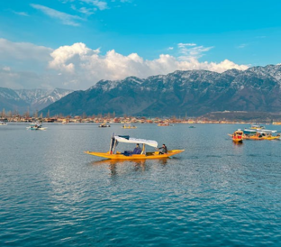 Untitled 312 x 274 px 2