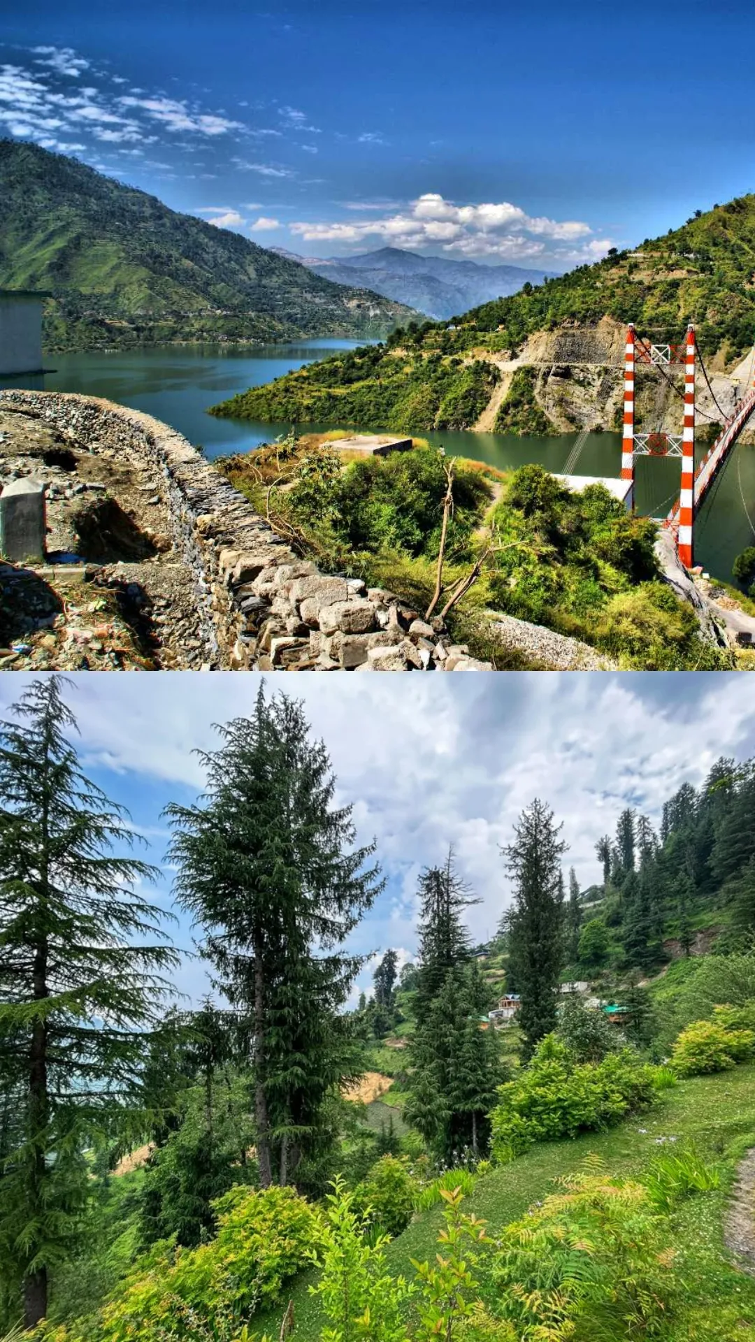 befunky collage 2025 05 06t080622 1746554041